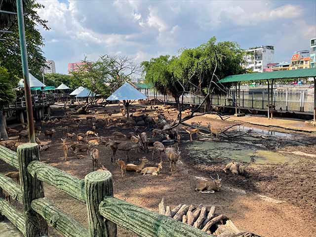 Saigon Zoo Ho Chi Minh City
