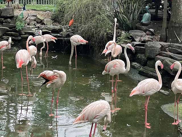 Saigon Zoo Ho Chi Minh City