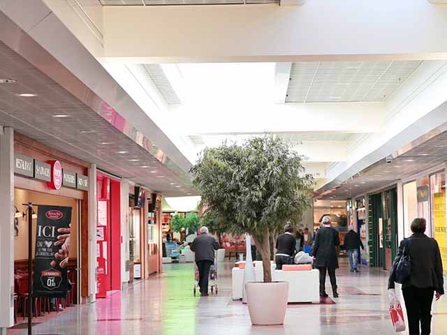 Toulouse shopping malls