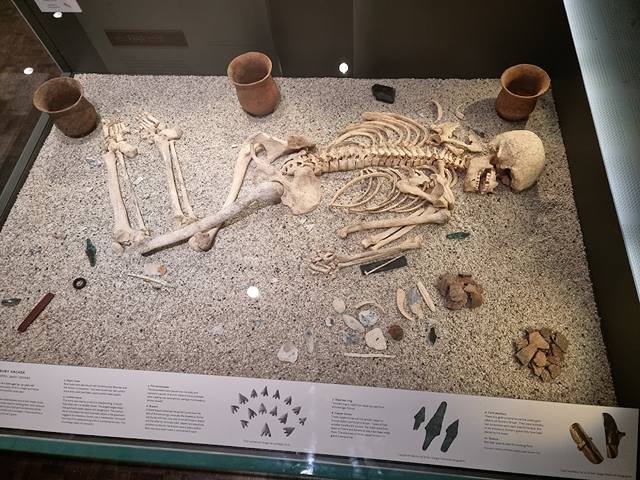 Salisbury Museum