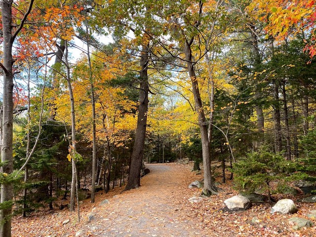 Shubie Park in Halifax
