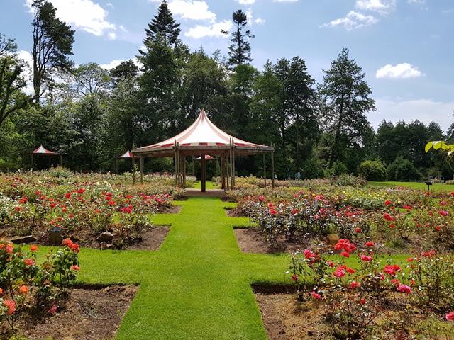 parks in Belfast Ireland
