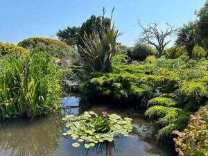 Southsea Rock Garden Portsmouth
