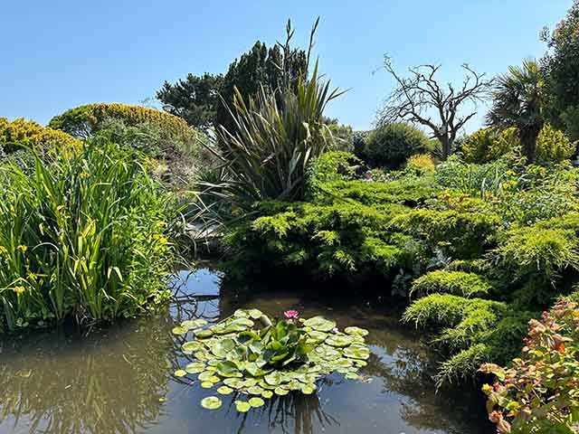 Southsea Rock Garden Portsmouth