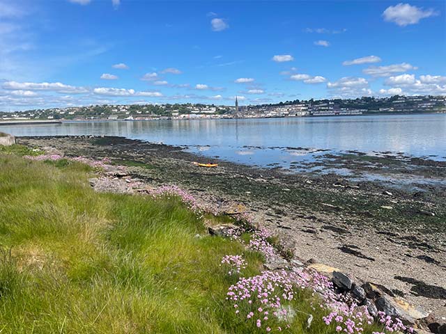 Spike Island Cork