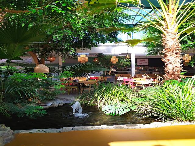 things to do in Eindhoven