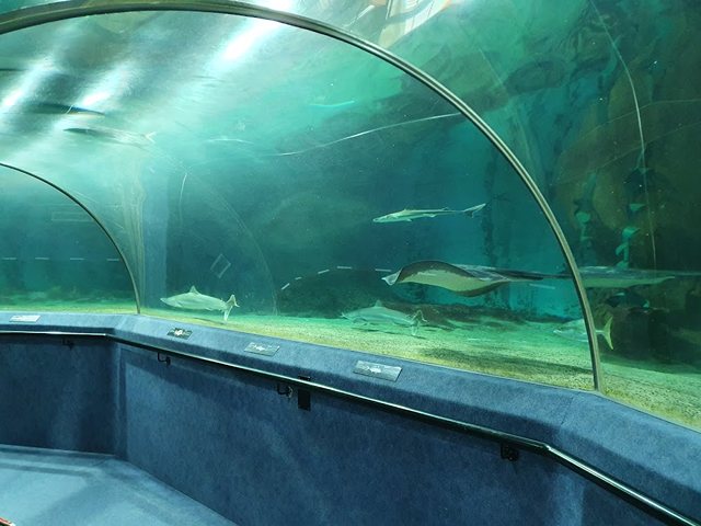The National Aquarium of New Zealand in Napier