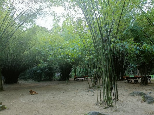 Da Nang parks