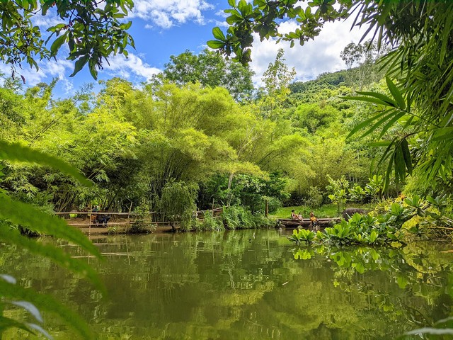 Tinh Vien Son Tra Forest in Da Nang