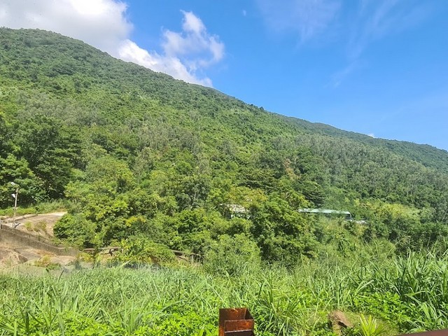 Tinh Vien Son Tra Forest Da Nang
