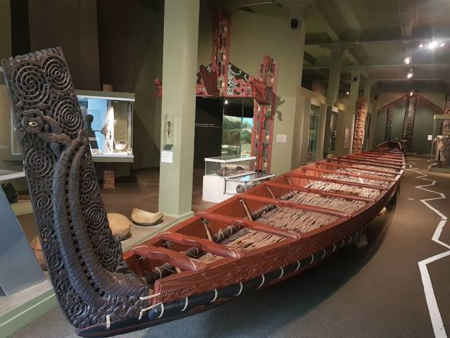 best things to do in Dunedin