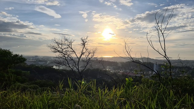 Tun Fuad Forest Kota Kinabalu