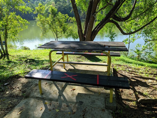 Tun Fuad Forest Kota Kinabalu