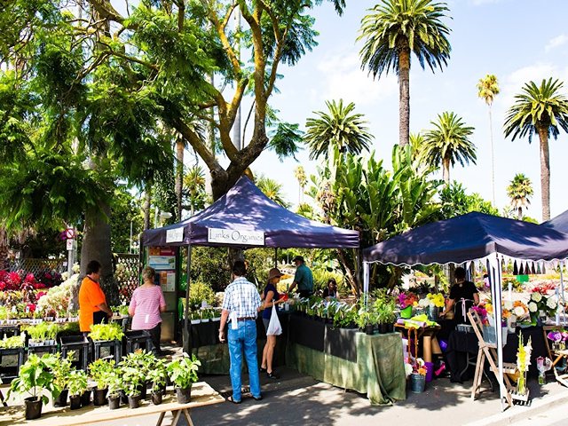 things to see in Napier New Zealand