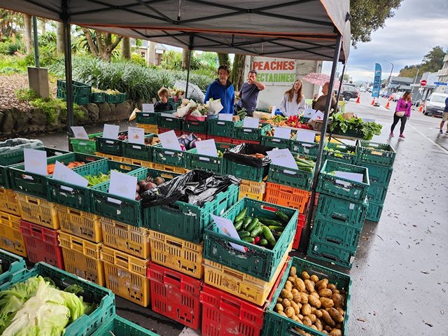 Urban Farmer's Market in Napier