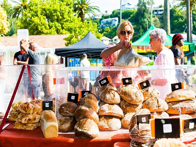 Urban Farmer's Market Napier