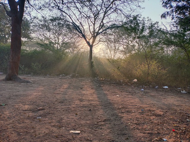 Urban Forestry Hmt Hyderabad