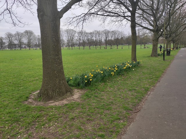 Victoria Garden Leicester