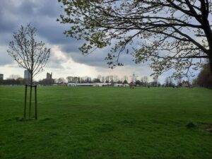 Victoria Garden Leicester