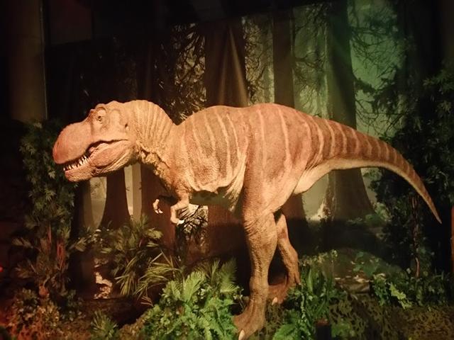 W5 Museum Belfast