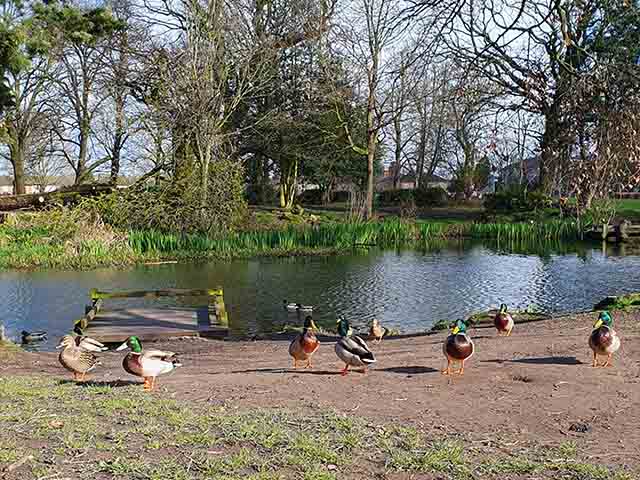 best things to do in Chester 