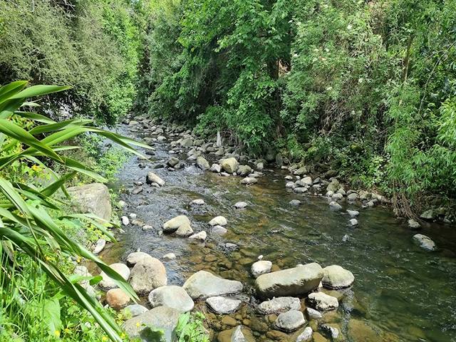 Woodhaugh Gardens Dunedin