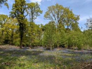 Worcester Woods Park