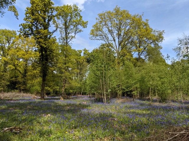top things to do in Worcester