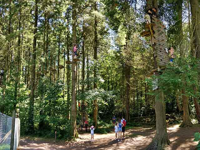 Zipit Forest Adventures Cork