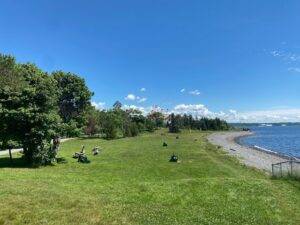 best Free Things to Do in Halifax
