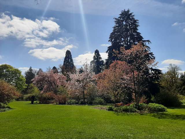 Arboretum Kalmthout Antwerp