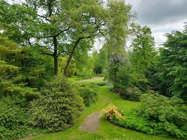 Arboretum Kalmthout in Antwerp