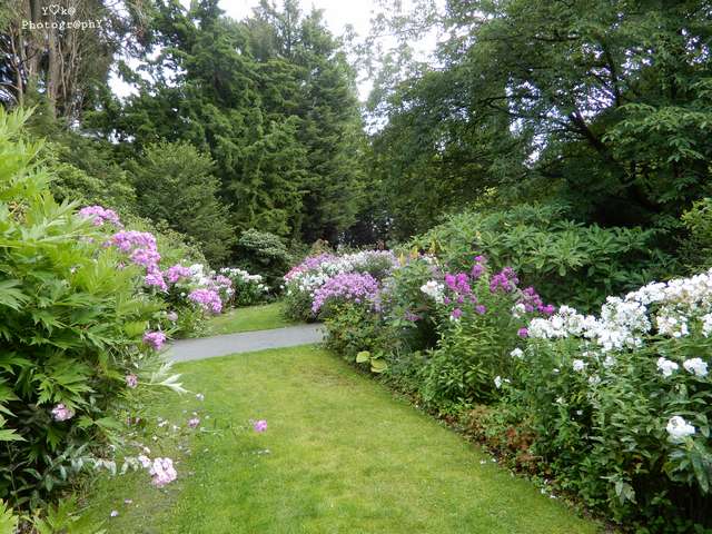 Arboretum Kalmthout Antwerp
