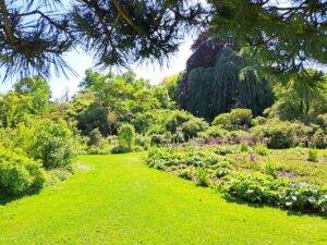 Arboretum Kalmthout Antwerp