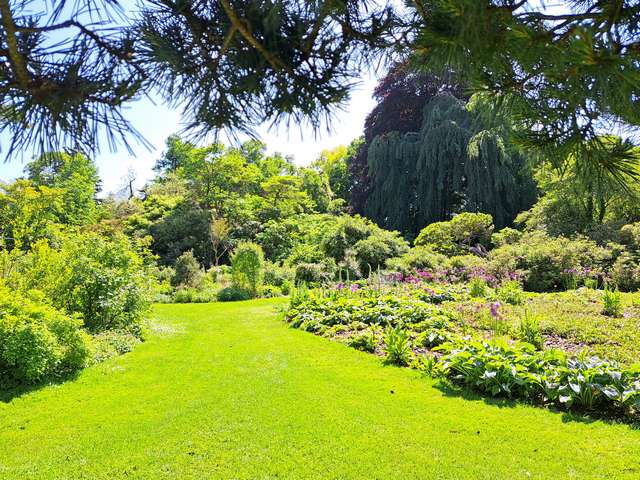Arboretum Kalmthout Antwerp