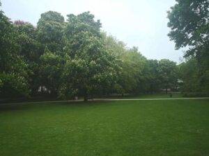 Harmoniepark Antwerp