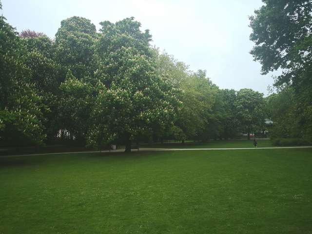 Harmoniepark Antwerp