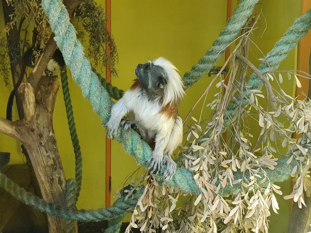 Natureland Wildlife Trust