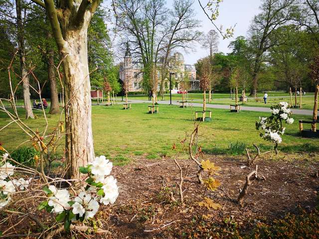 Park van Brasschaat Antwerp
