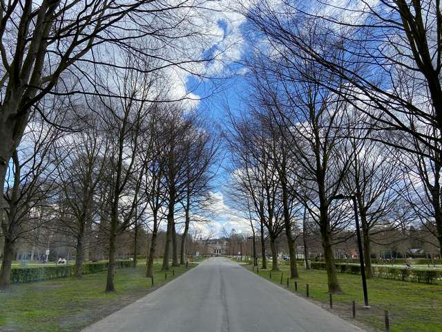 Park van Brasschaat Antwerp
