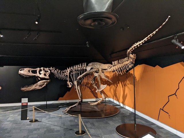 The Nelson Provincial Museum