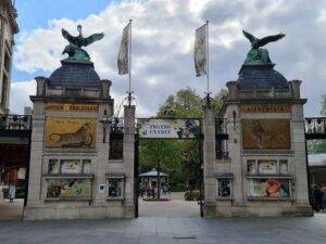 Zoo Antwerp