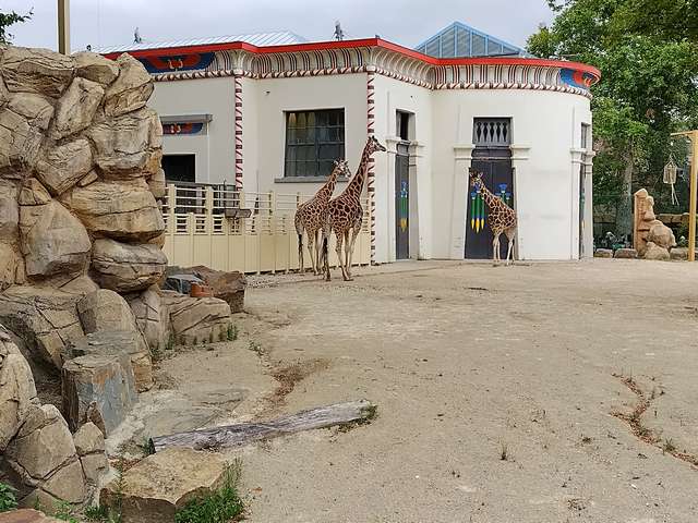 Zoo Antwerp