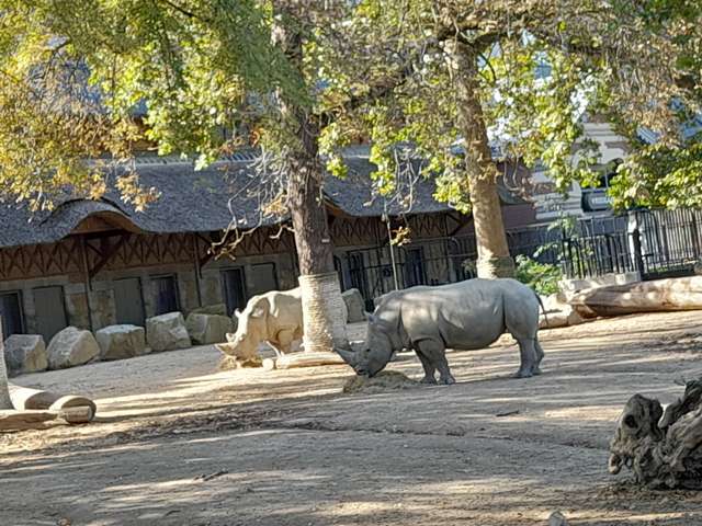 Zoo Antwerp