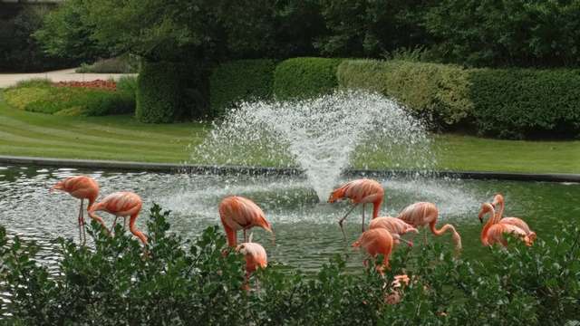 Zoo Antwerp