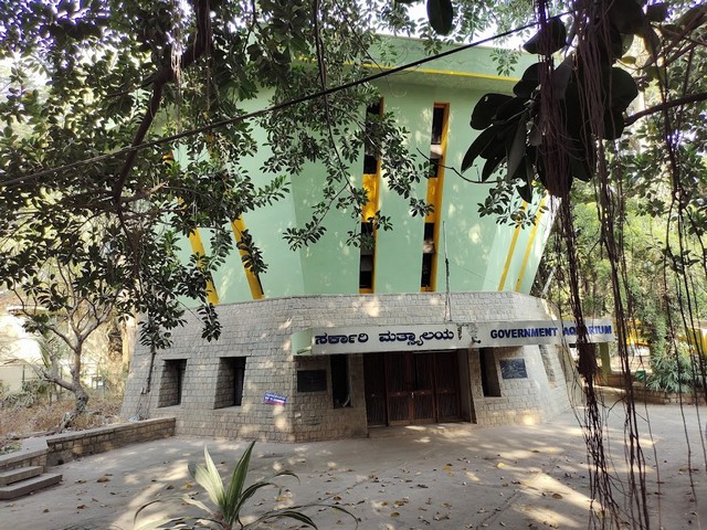 things to do in Bangalore with family