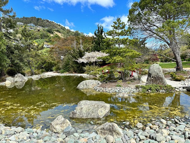 Nelson's park