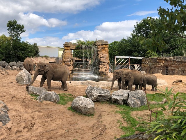 Chester attractions for families
