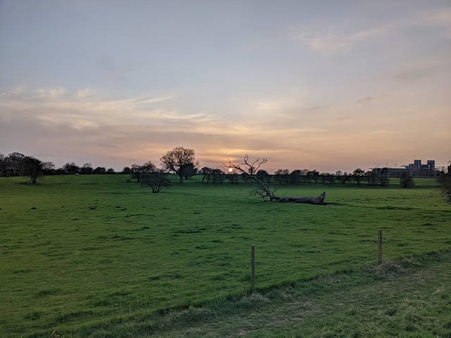 best parks in York