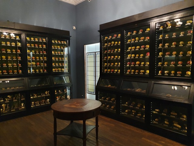 best museums in Turin